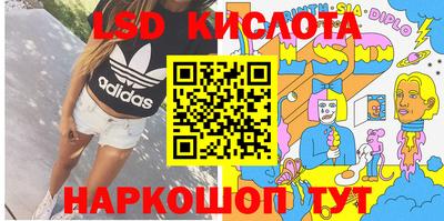 индика Новозыбков
