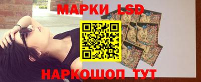 индика Новозыбков