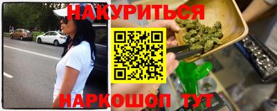индика Новозыбков