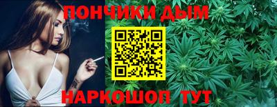 индика Новозыбков