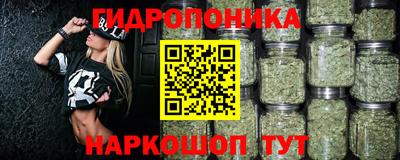 индика Новозыбков