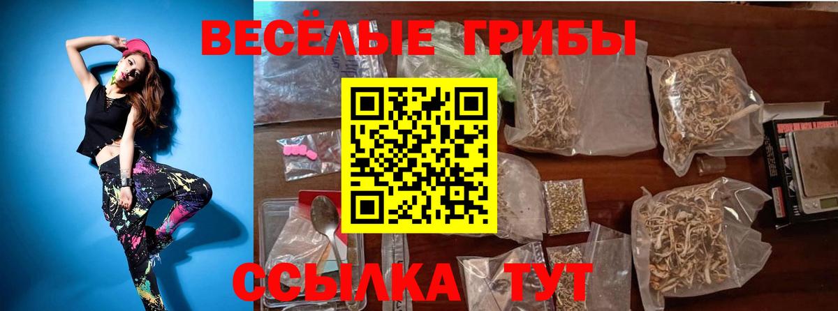 Тара  Псилоцибиновые грибы Magic Shrooms  купить наркотик  Вход с VPN 